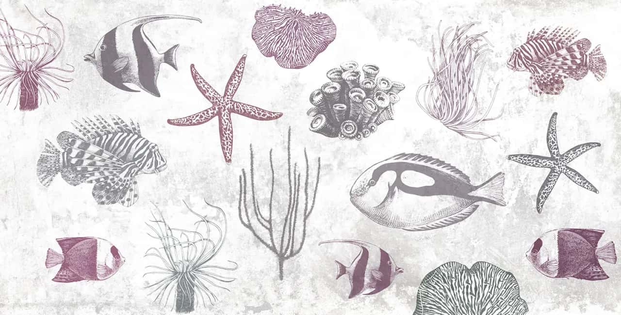 Jak narysować rafę koralową - proste kroki i kreatywne techniki