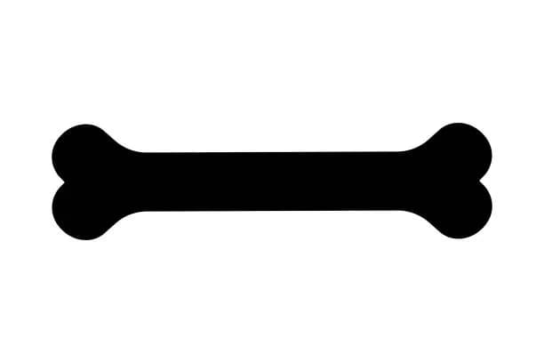 Jak narysować kość dla psa - proste kroki i przydatne wskazówki